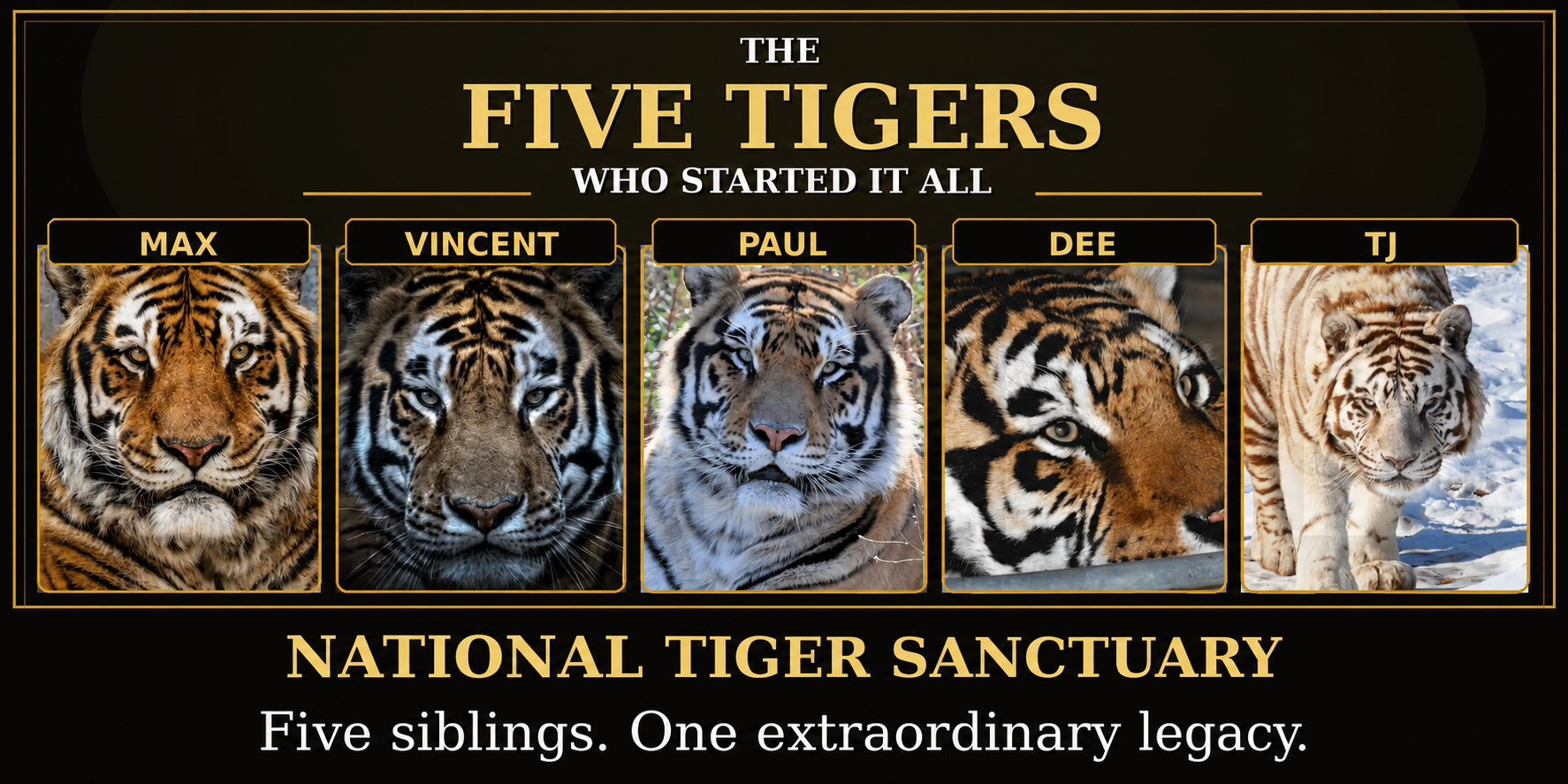 Five Siblings