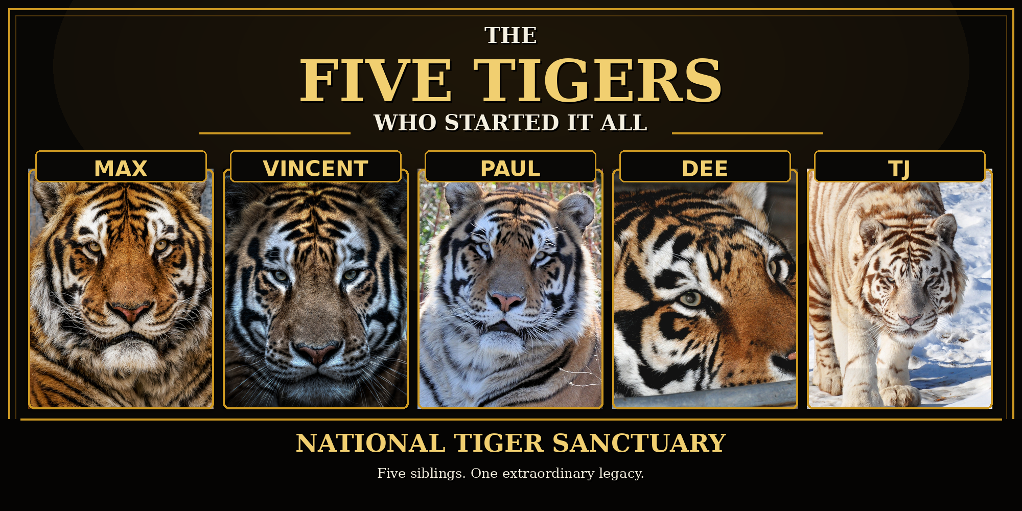 five_tigers_started_it_all_exact_photos